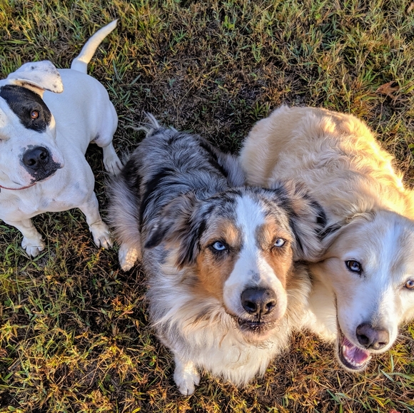 Meet your Posher, Marianne - Picture 5 of 11